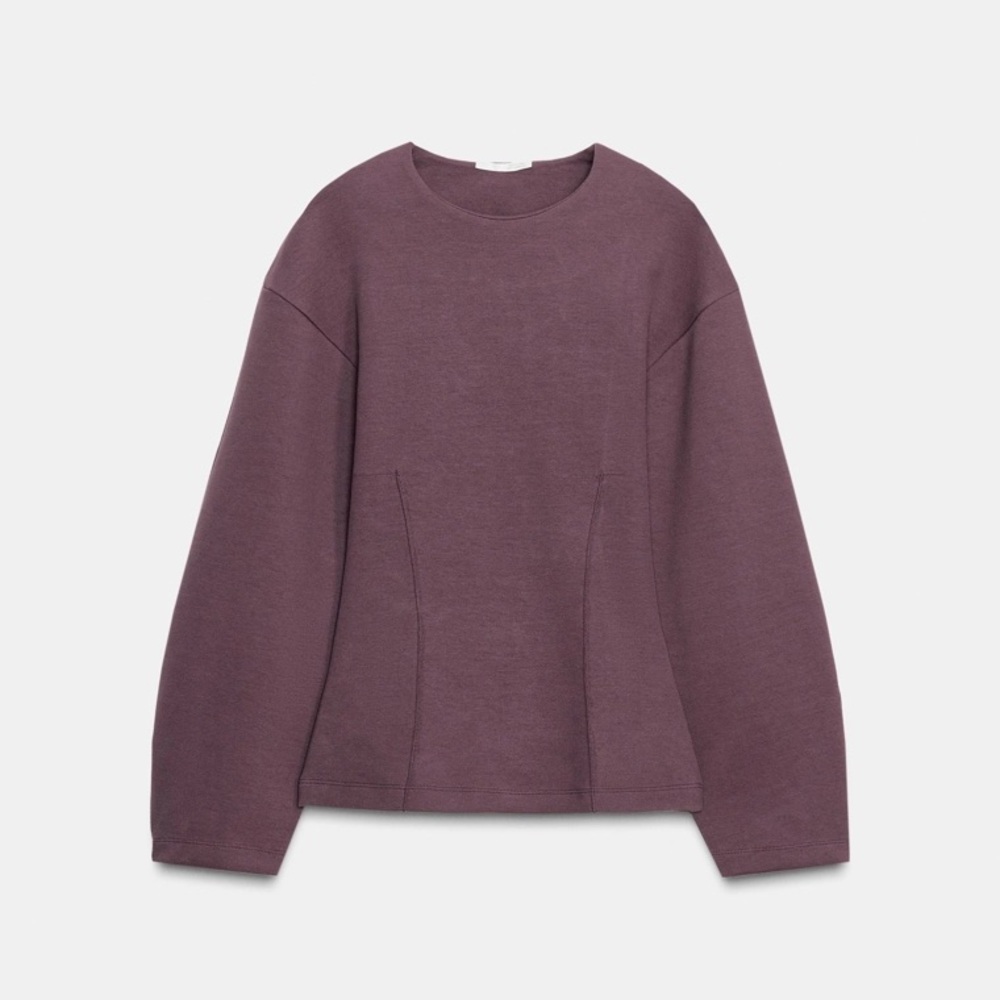 Zara NWT pintuck darts cinched waist puff sleeve interlock long sleeve top